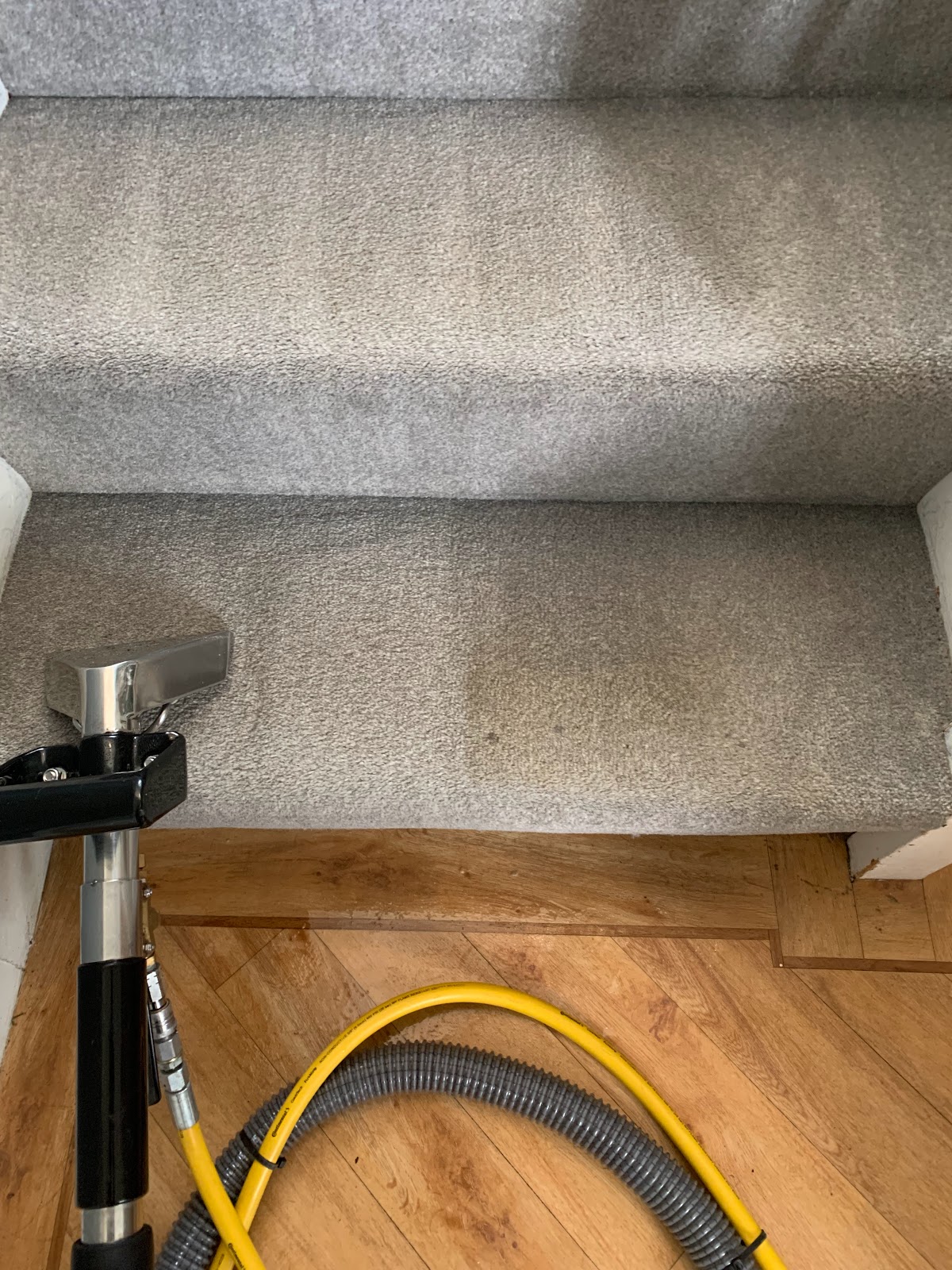Stair carpet mid-clean, showing the difference between cleaned and uncleaned sections